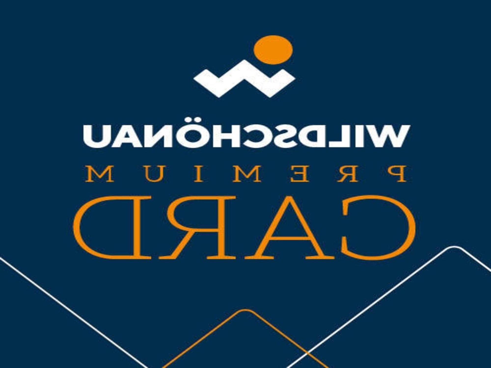 Vicky Apartments, Wildschoenau-Нийдерау Екстериор снимка